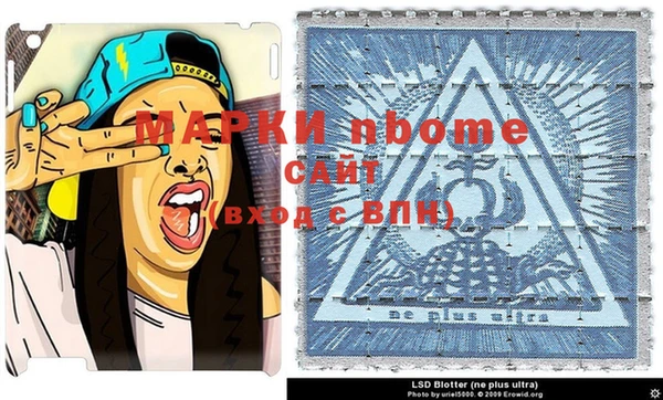 дмт Аркадак
