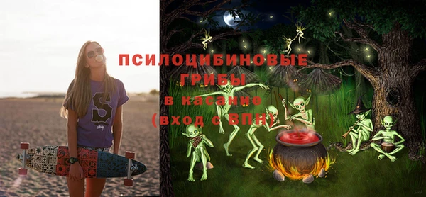 кокс Арсеньев