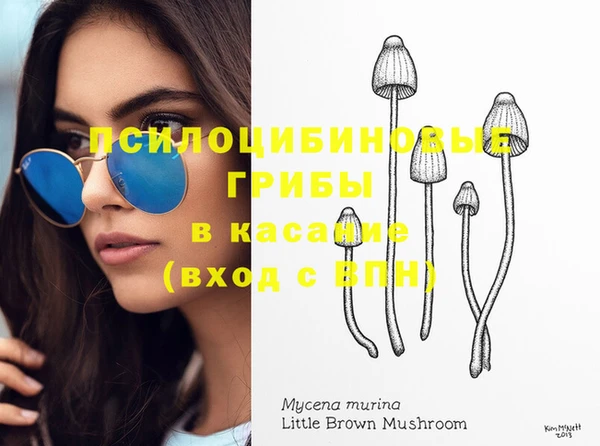 дмт Аркадак