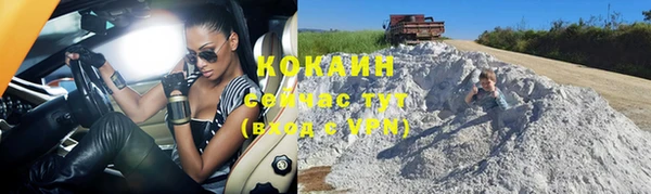 кокс Арсеньев