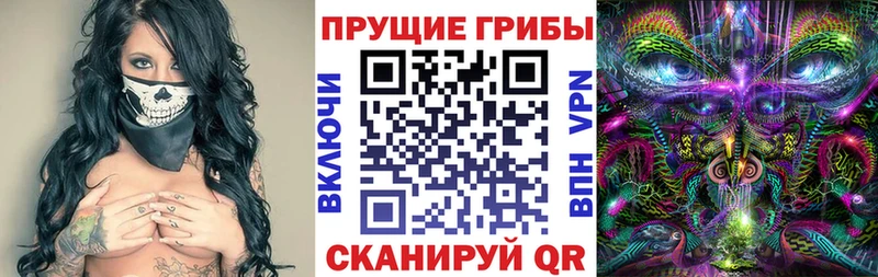 Галлюциногенные грибы Cubensis  кракен зеркало  Сердобск 